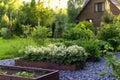 Rustic wooden house with raised vegetable garden beds, strawberry blooming. Royalty Free Stock Photo