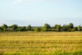 Rustic wooden houses against the background of a yellow mown wheat field and a blue sky on a summer day at sunset. Rural landscape Royalty Free Stock Photo