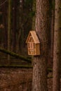 Rustic wooden insect hotel on a tree in the forest Royalty Free Stock Photo