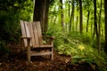 Rustic wooden outdoor chair offers a peaceful retreat in nature
