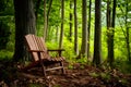 Rustic wooden outdoor chair offers a peaceful retreat in nature