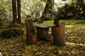 Rustic wooden picnic table and chairs in the forest