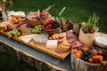 a rustic wooden plate with a variety of meats and cheeses for an outdoor picnic Royalty Free Stock Photo