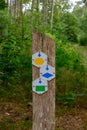 Rustic wooden pole with three arrows suspended from it in a natural outdoor setting.