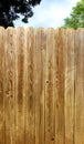 Tall weathered wood privacy fence with blue sky and green tree background