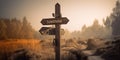 A rustic wooden signpost with arrows pointing in various directions, representing choices and decisions, concept of