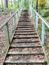Rustic wooden staircase on a hiking trail
