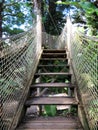 Rustic wooden stairs to access suspension bridge in tropical garden of the French West Indies. Adventure sports and fun. Nature Royalty Free Stock Photo