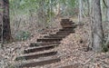 Rustic Wooden steps in forest Royalty Free Stock Photo