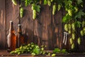 Concept Rustic Decor, Rustic wooden surface with craft beer bottles fresh hops and warm lighting Royalty Free Stock Photo