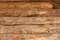 A rustic wooden surface of pine trees Royalty Free Stock Photo