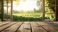 Rustic Wooden Table Overlooking A Sun-Drenched Vineyard Through An Open Window. Idyllic Summer Scene Royalty Free Stock Photo