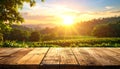 Rustic Wooden Table with Vineyard Sunset Backdrop Royalty Free Stock Photo