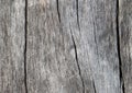 Rustic wooden texture closeup photo. Cold grey wood background.