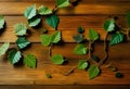 Rustic Wooden Vine Leaves Objects Creative Flatlays