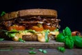 Rustical BLT sandwich Royalty Free Stock Photo