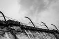 Rusting barbwired wall in Terezin concentration camp - Black and White