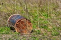 Abandoned Rusty 55 Gallon Drums in Nature