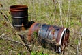 Abandoned Rotten and Rusty 55 Gallon Drums in Nature