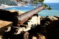 Rusting Spanish cannon