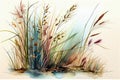 Rustling Reeds Grasses Watercolors Isolated On White Background - Generative AI