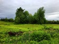 Rustry farm equipment in grassy field