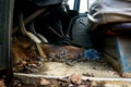 Messy Abandoned Old Fashioned Truck Interior Royalty Free Stock Photo