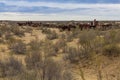 Rusty abandoned ships at the Ship cemetery at the former Aral sea coast in Moynaq Mo ynoq or Muynak , Uzbekist Royalty Free Stock Photo