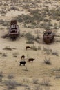 Rusty abandoned ships at the Ship cemetery at the former Aral sea coast in Moynaq Mo ynoq or Muynak , Uzbekist Royalty Free Stock Photo