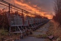 rusty abandoned shopping carts in a row