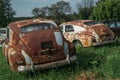 Rusty abandoned vintage cars on green nature landscape Royalty Free Stock Photo