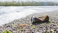 Rusty aluminum can on sea beach discarded sea wave. Garbage pollution of ocean. Metal waste recycling Banner, copy space