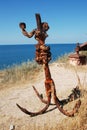 Rusty anchor on the coast Royalty Free Stock Photo