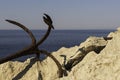 Rusty anchor at the rocky coast Royalty Free Stock Photo
