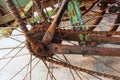 Rusty back sprocket and chain of old bicycle