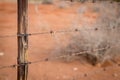 Rusty barb wire fence and old wood poles Royalty Free Stock Photo