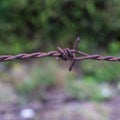 Rusty barb wire Royalty Free Stock Photo