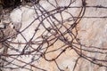 Rusty barb wire on a sto Royalty Free Stock Photo