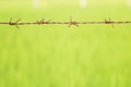 Rusty barbed wire background