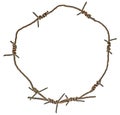 Rusty barbed wire circle isolated on white background Royalty Free Stock Photo