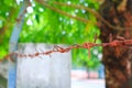 Rusty barbed wire concept soldier safety in bunker. Select focus with shallow depth of field Royalty Free Stock Photo