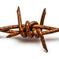 Rusty barbed wire detail, isolated on a white background Royalty Free Stock Photo