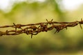 Rusty barbed wire fence on a background of green foliage Royalty Free Stock Photo