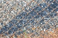 Rusty barbed wire fence Royalty Free Stock Photo