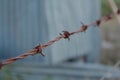 Rusty Barbed Wire Fence with Cobwebs & Blurred Grey & Green Background Royalty Free Stock Photo