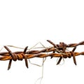 Rusty barbed wire fence with sharp points isolated on white Royalty Free Stock Photo