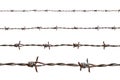 Rusty barbed Royalty Free Stock Photo