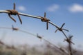 Rusty Barbed Wire Royalty Free Stock Photo