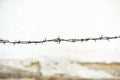 Rusty barbed wire, old wall whitewashed on lime on the background, wallpaper, space for text Royalty Free Stock Photo