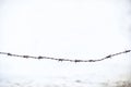 Rusty barbed wire, old wall whitewashed on lime on the background, wallpaper, space for text Royalty Free Stock Photo